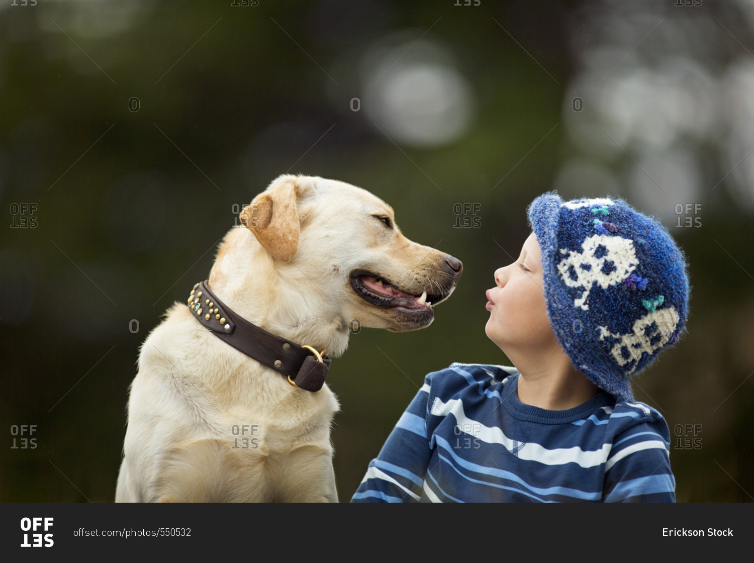 Bird Hunting stock images