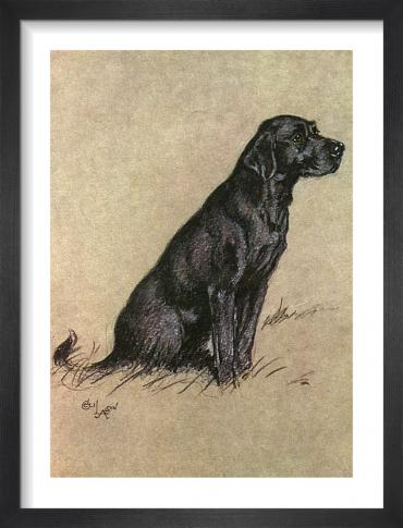 Bird Hunting art prints