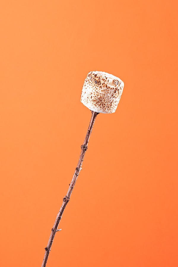Marshmallow art prints