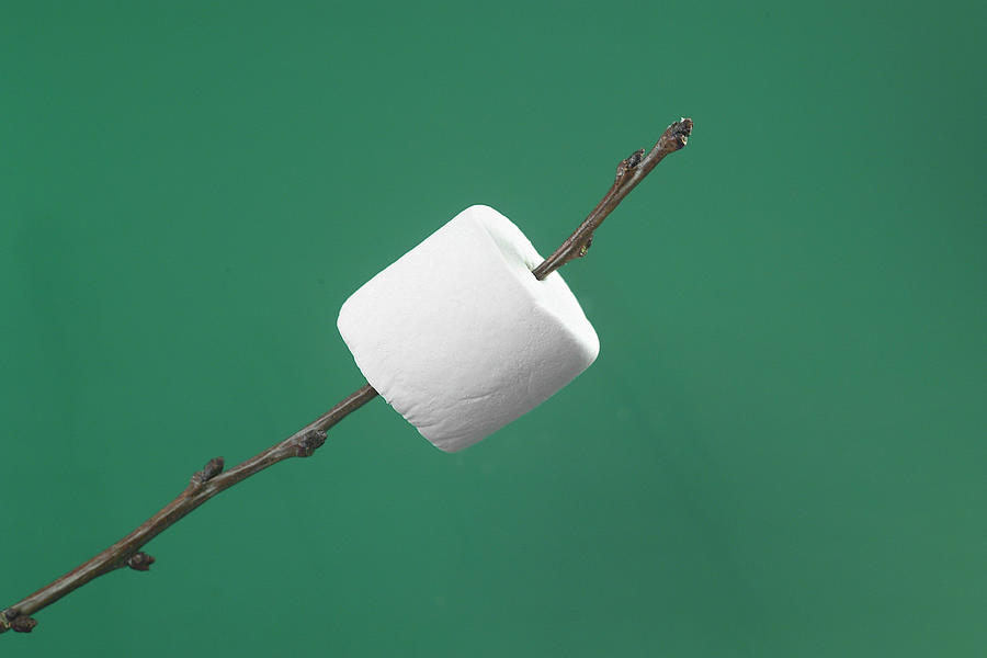 Marshmallow art prints