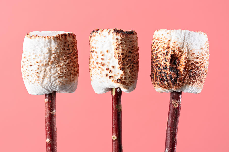 Marshmallow art prints