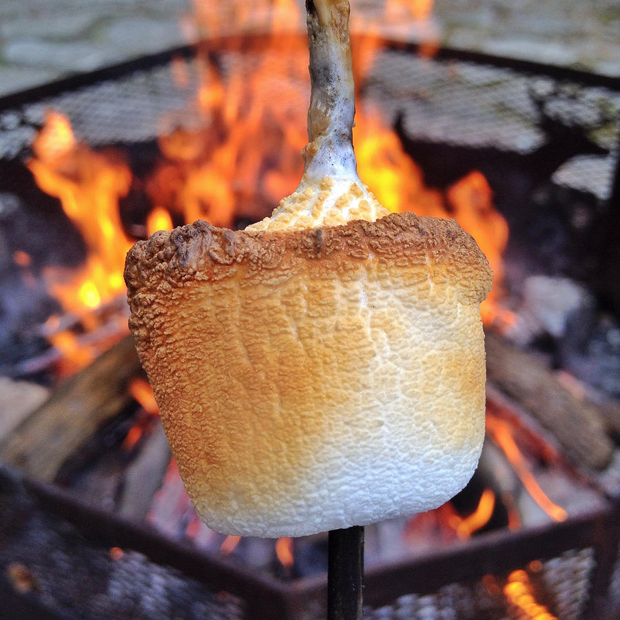 Marshmallow art prints