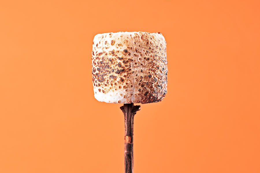 Marshmallow art prints