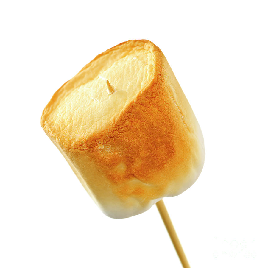 Marshmallow art prints