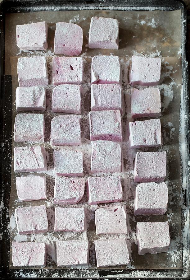 Marshmallow art prints