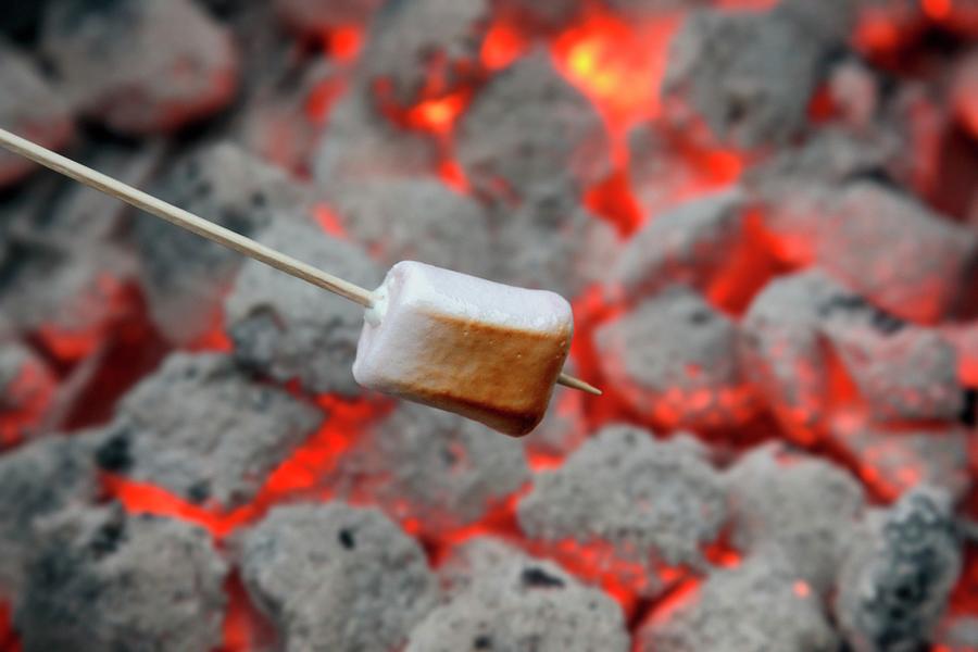 Marshmallow art prints