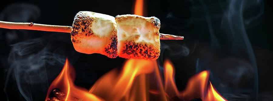 Marshmallow art prints