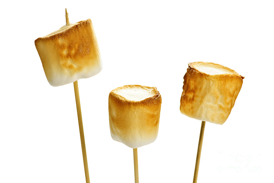 Marshmallow art prints