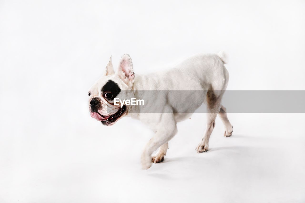 You Talking To Me? stock images