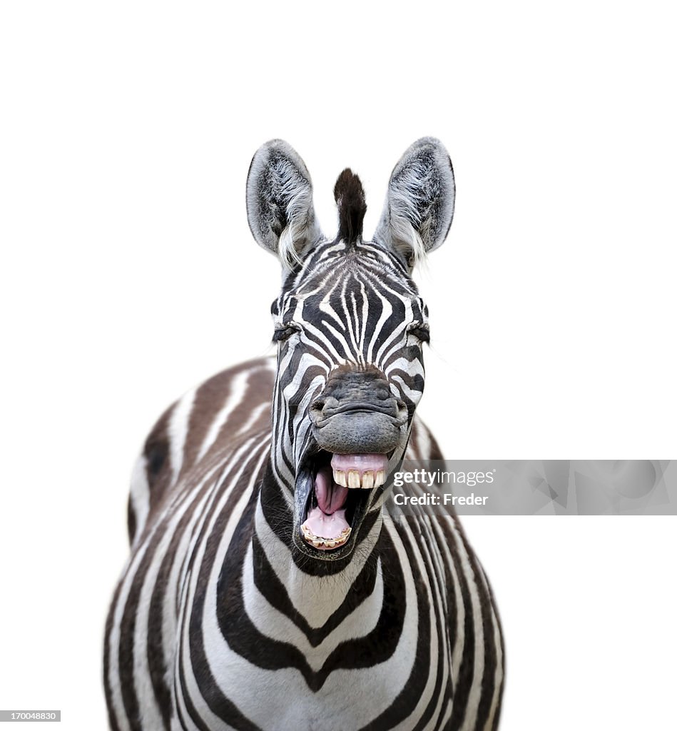 You Talking To Me? stock images