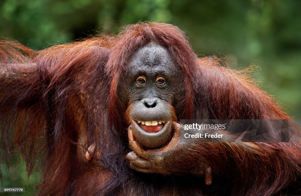 You Talking To Me? stock images
