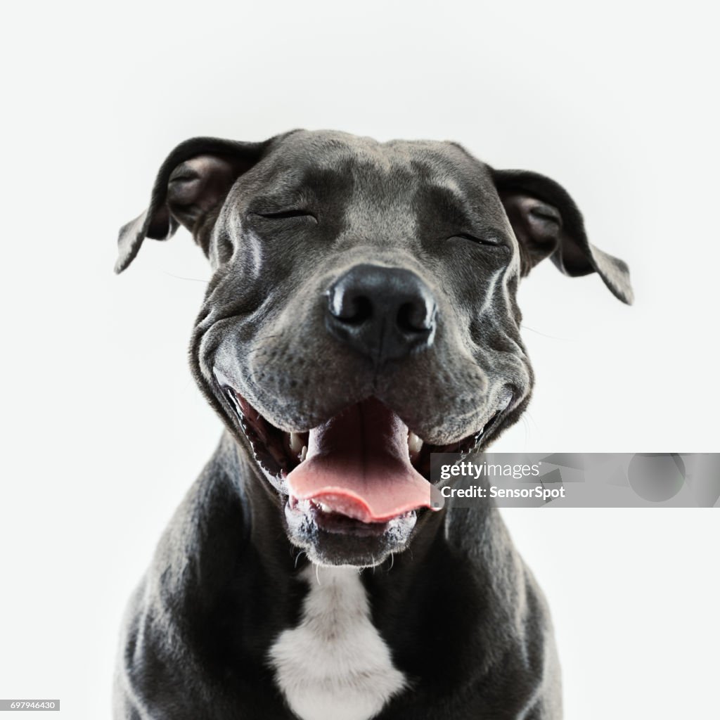 You Talking To Me? stock images