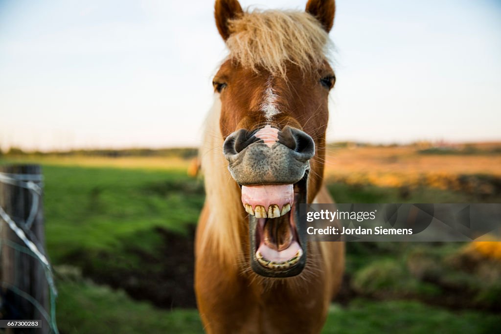 You Talking To Me? stock images