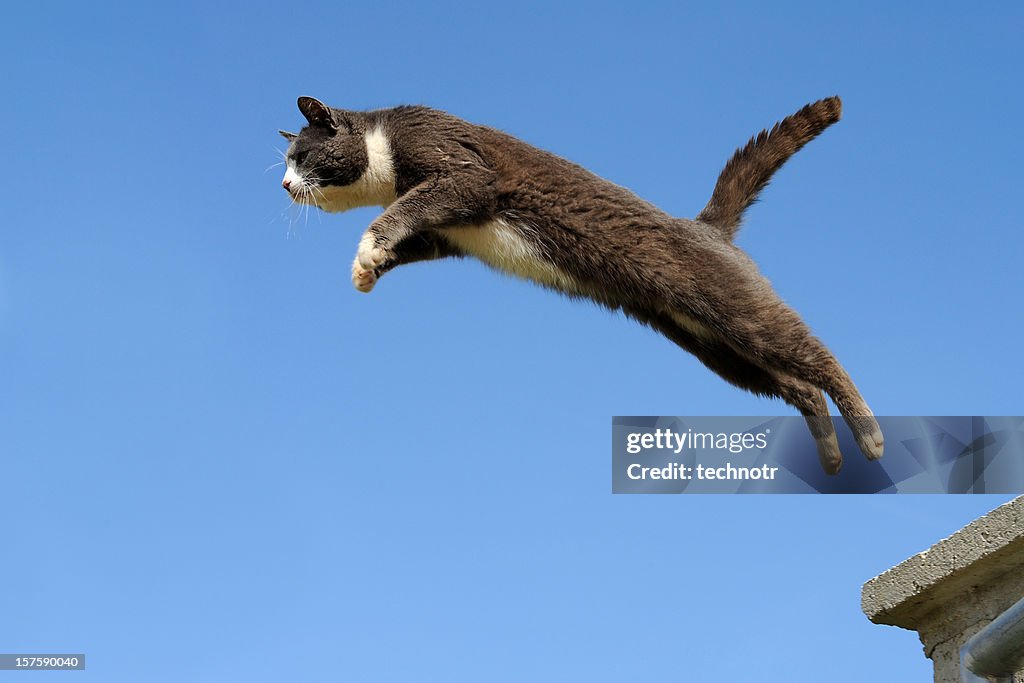 Jumping stock images