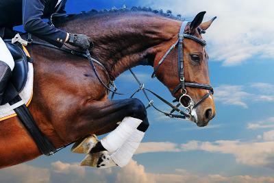 Jumping art prints