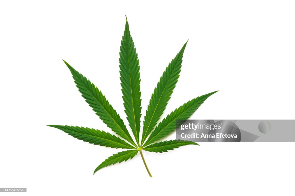 Marijuana stock images