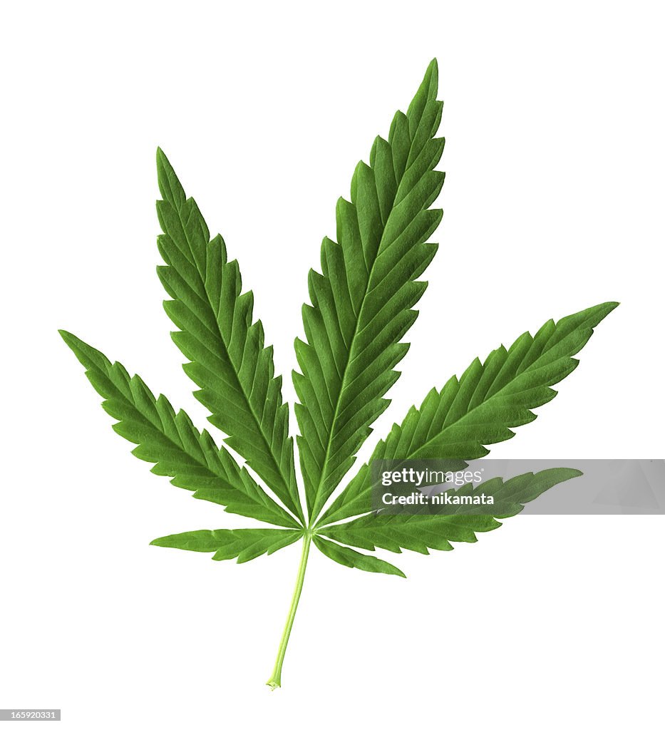 Marijuana stock images