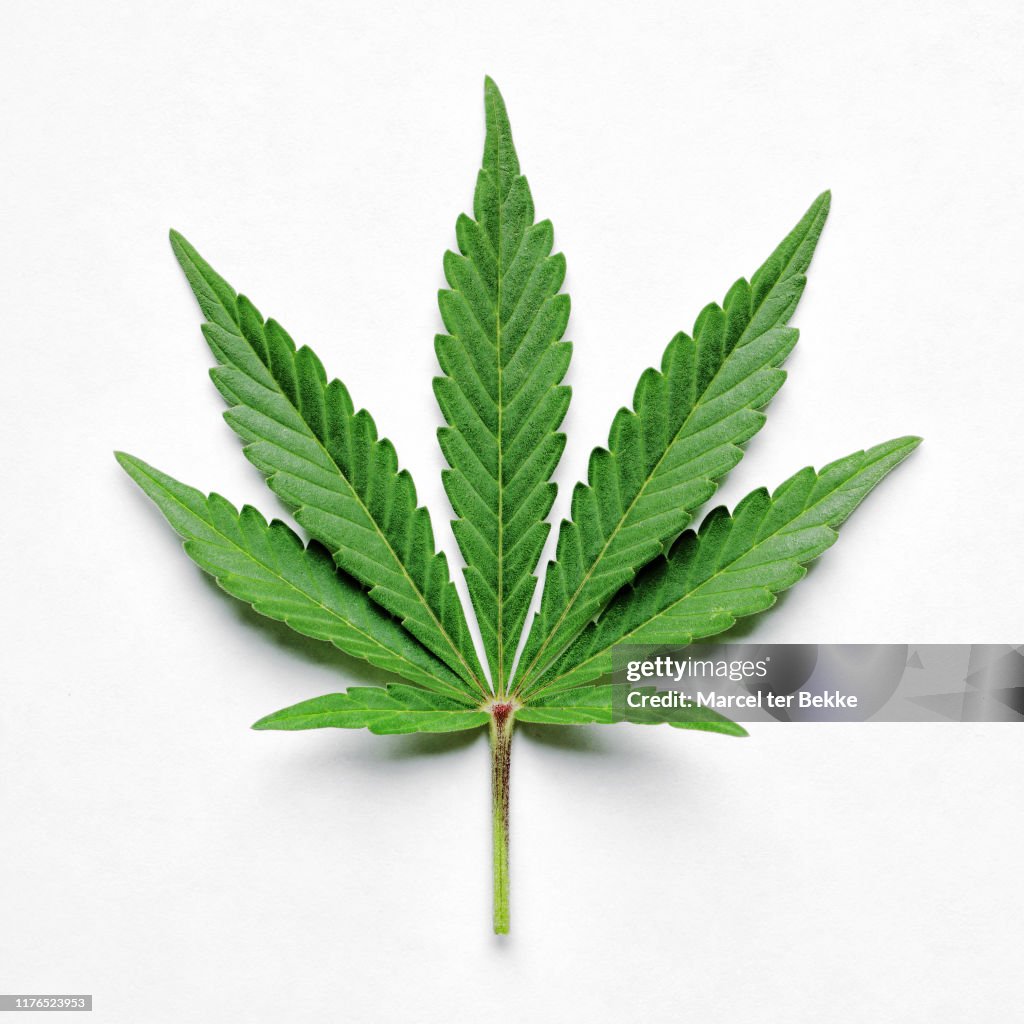 Marijuana stock images