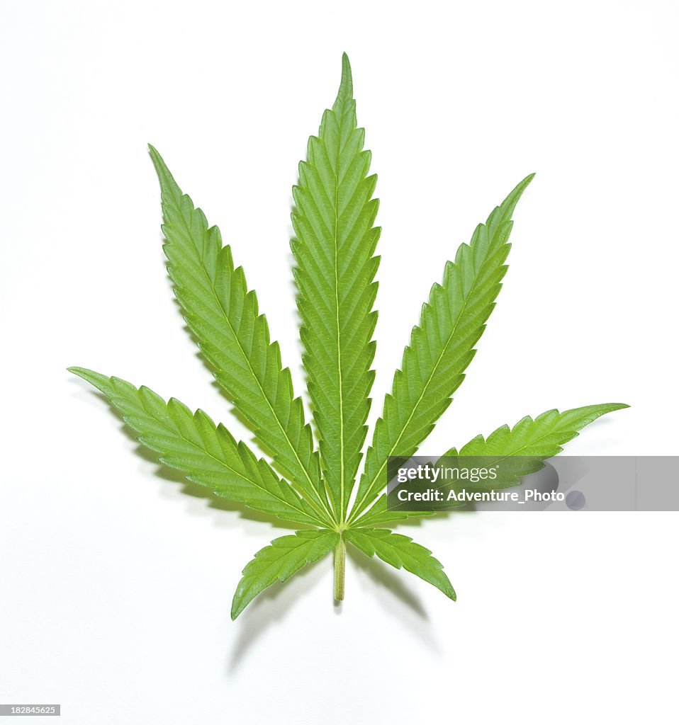 Marijuana stock images