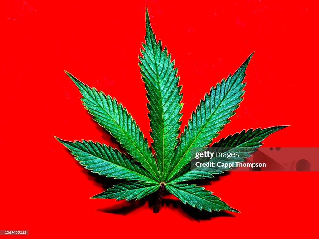 Marijuana stock images