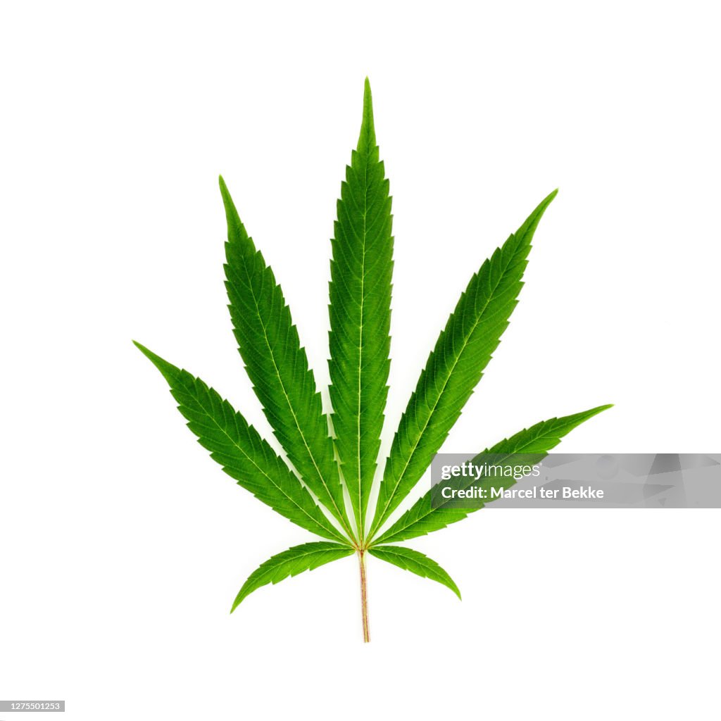 Marijuana stock images