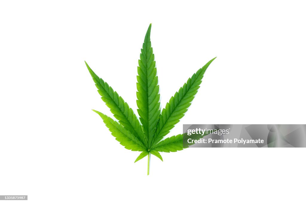 Marijuana stock images