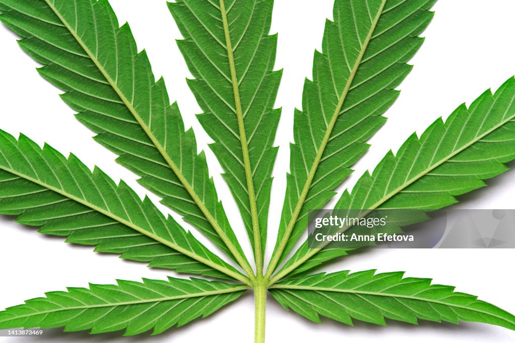 Marijuana stock images