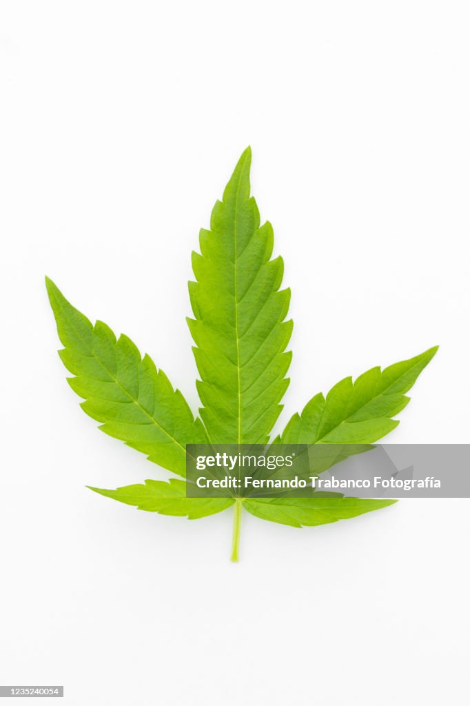Marijuana stock images