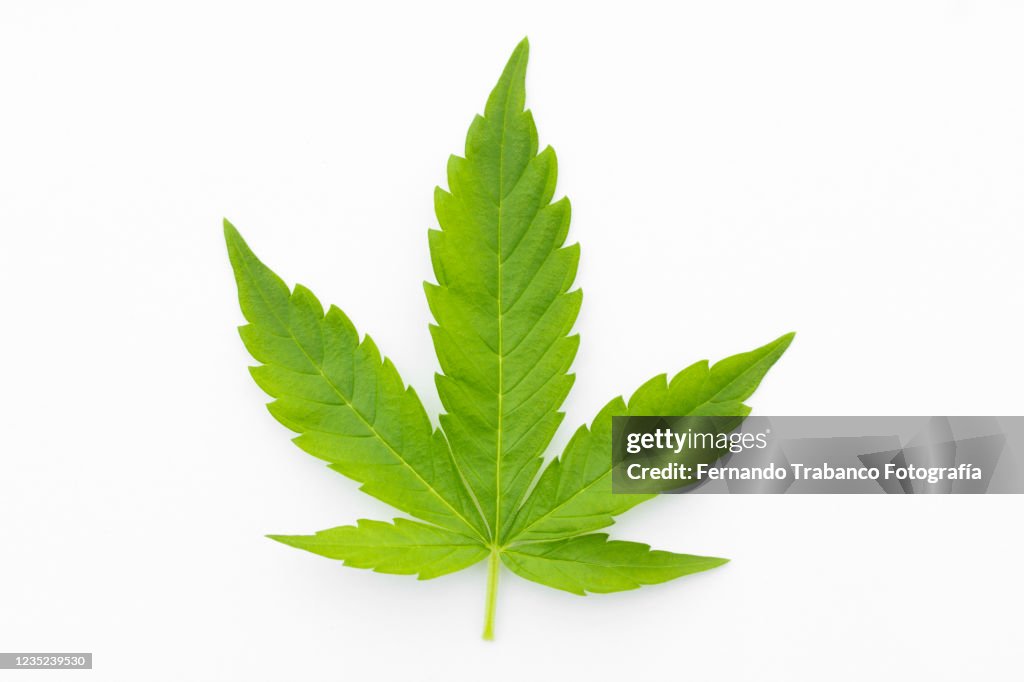 Marijuana stock images