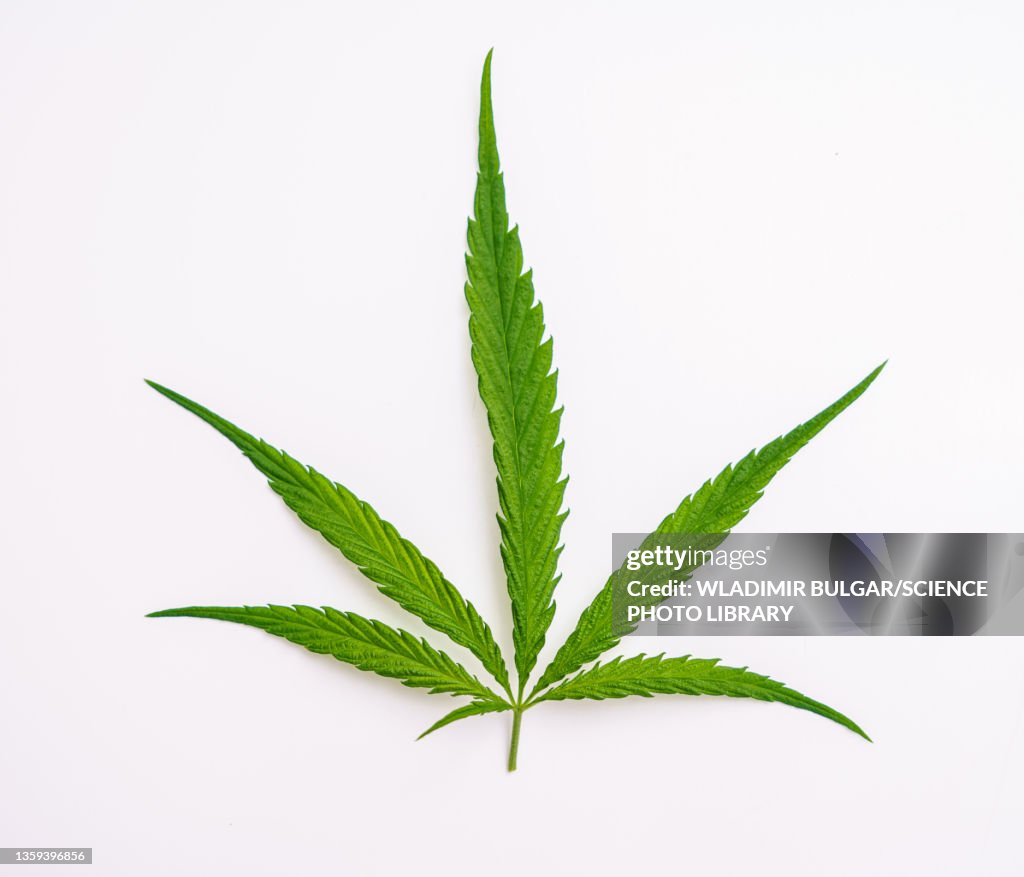 Marijuana stock images