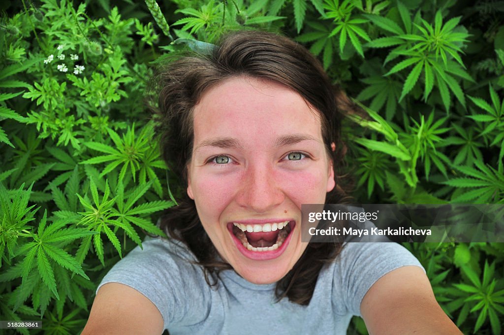 Marijuana stock images