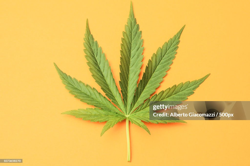 Marijuana stock images
