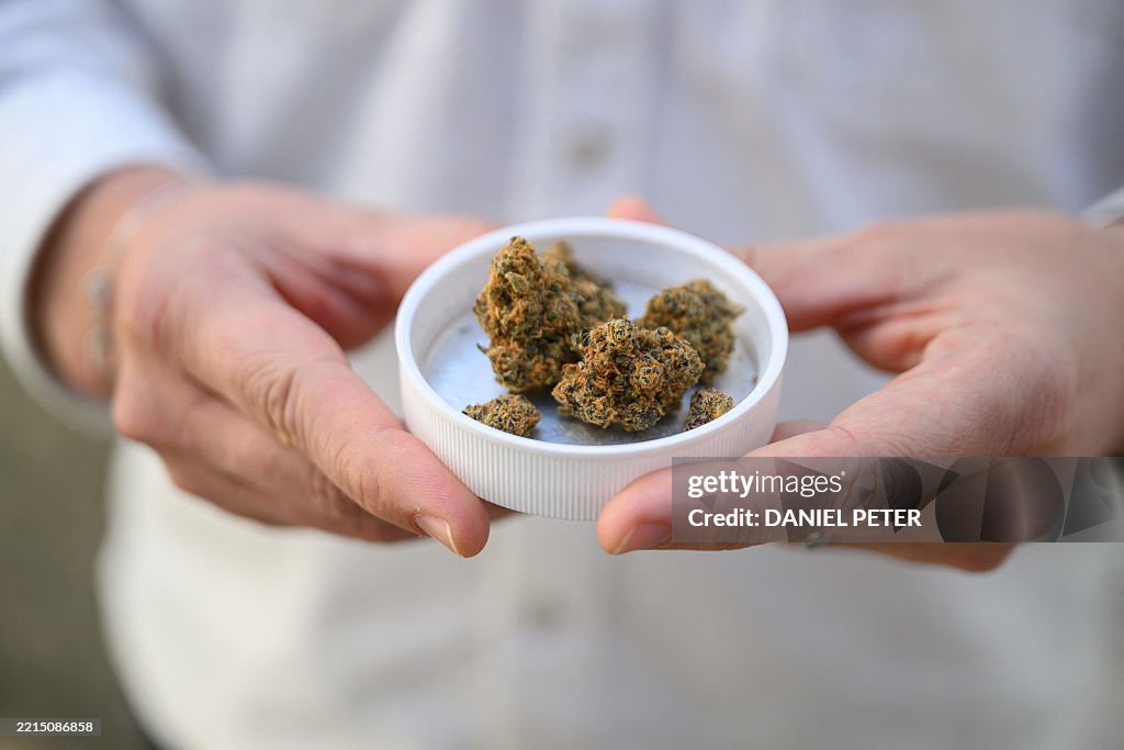 Marijuana stock images