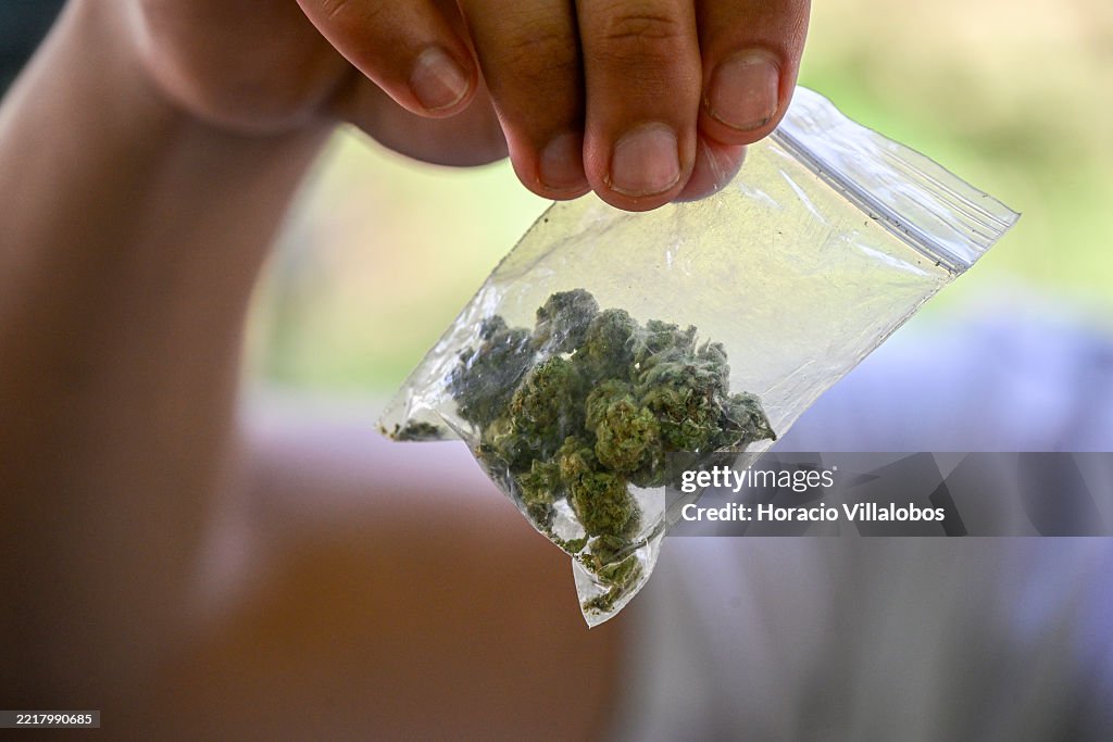 Marijuana stock images