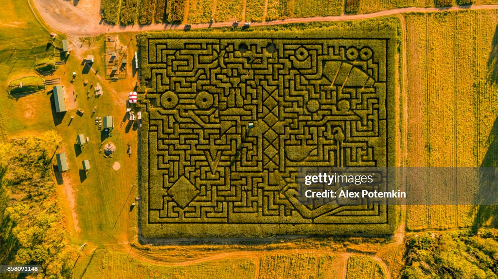 Corn stock images