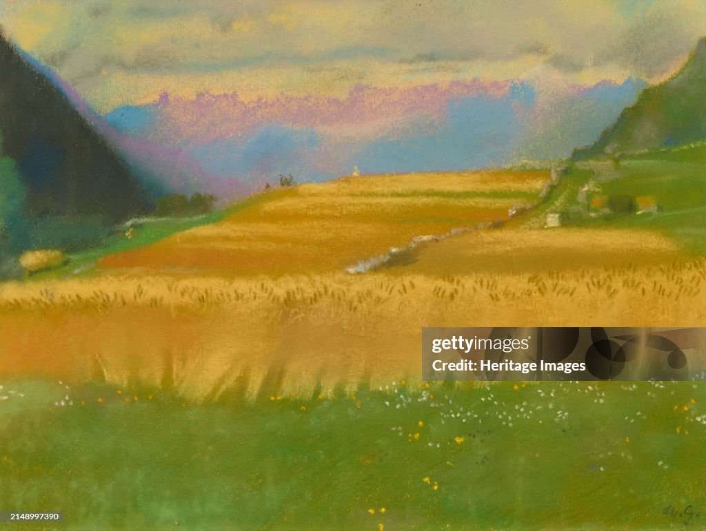 Corn stock images