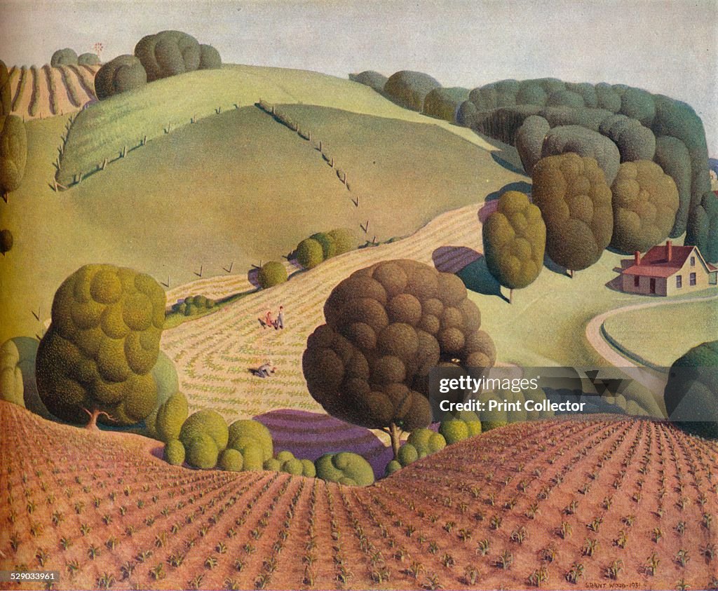 Corn stock images
