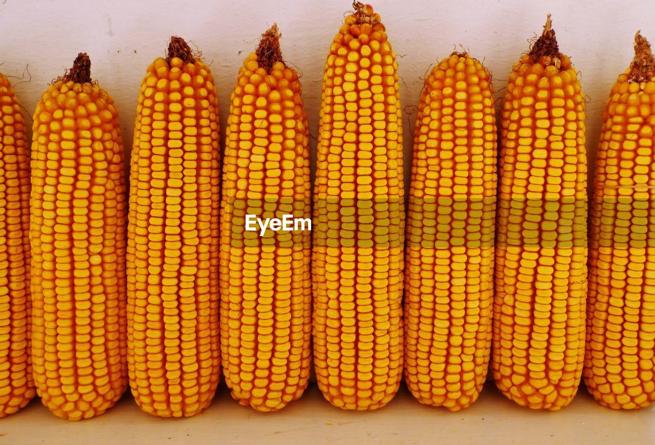 Corn stock images