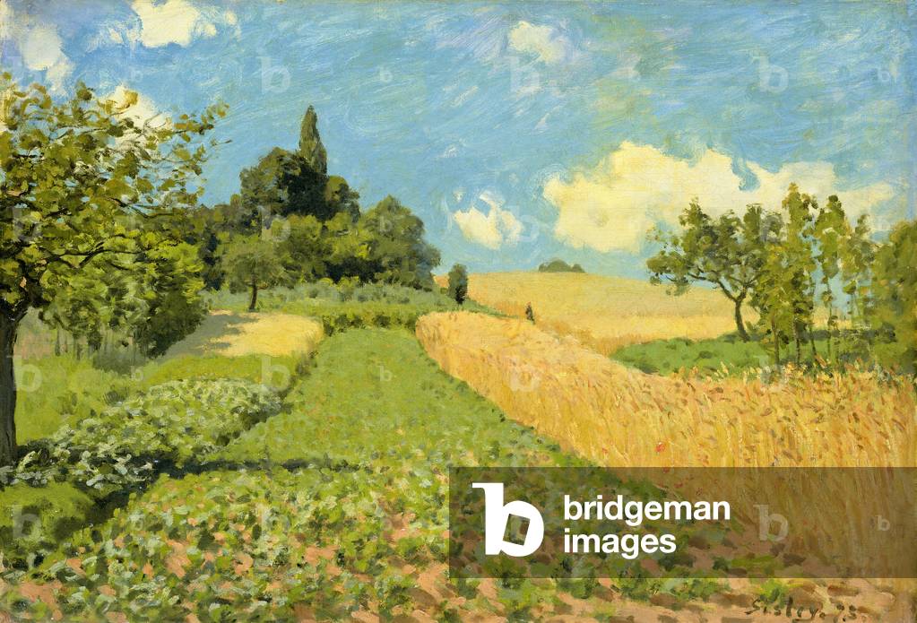 Corn art prints
