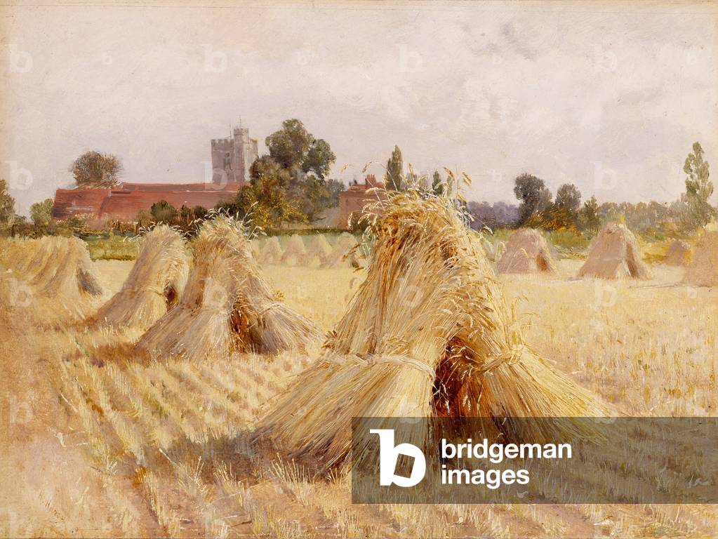 Corn art prints