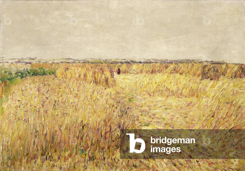Corn art prints