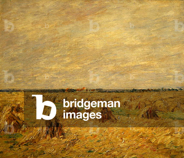 Corn art prints