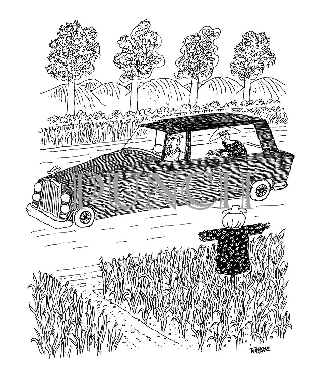 Corn art prints