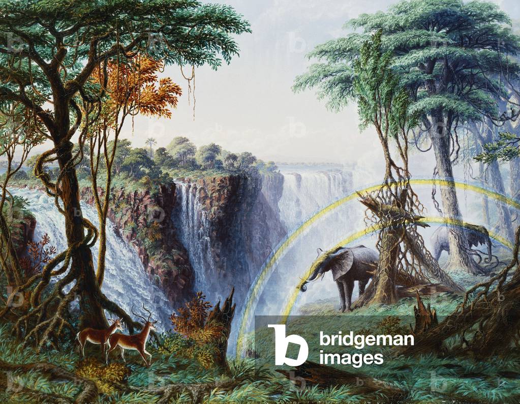 Waterfall art prints