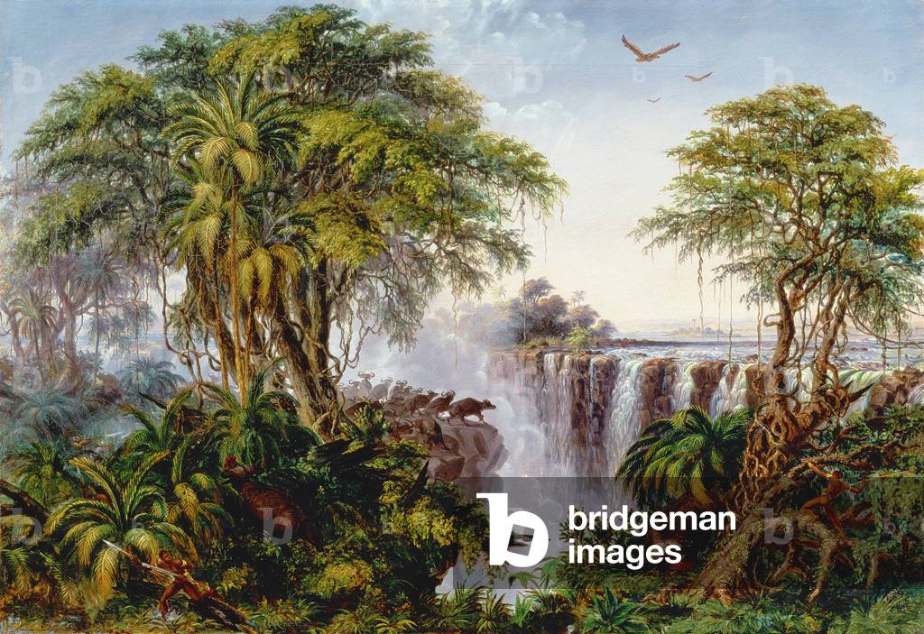 Waterfall art prints