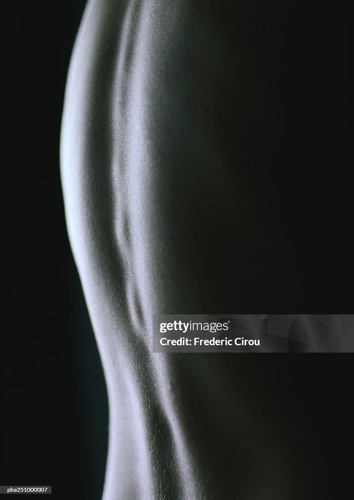 Back stock images