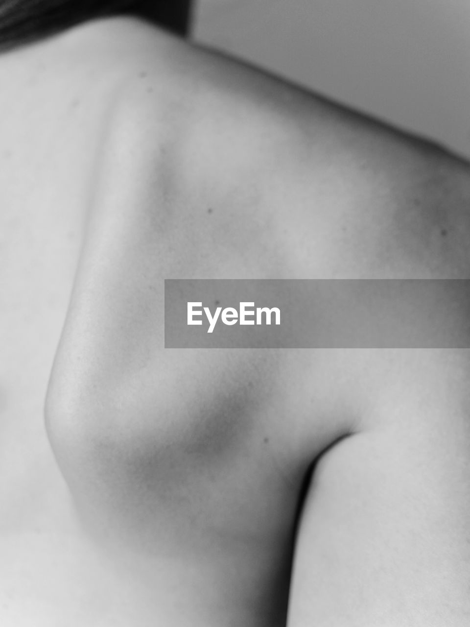 Back stock images