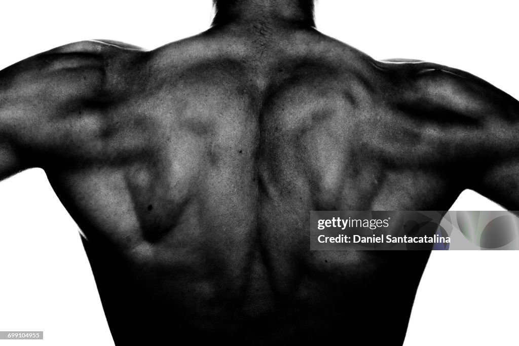 Back stock images
