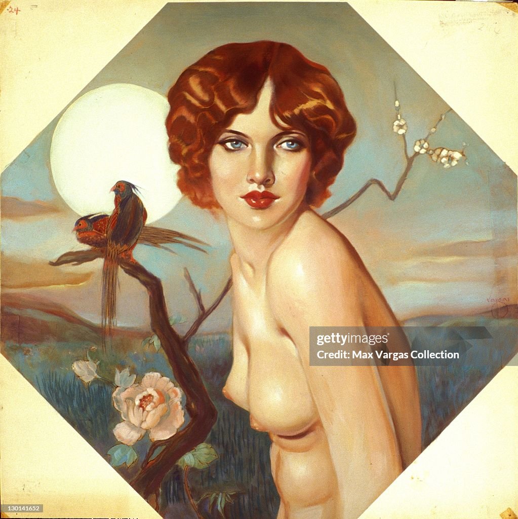 Pinup Girl stock images