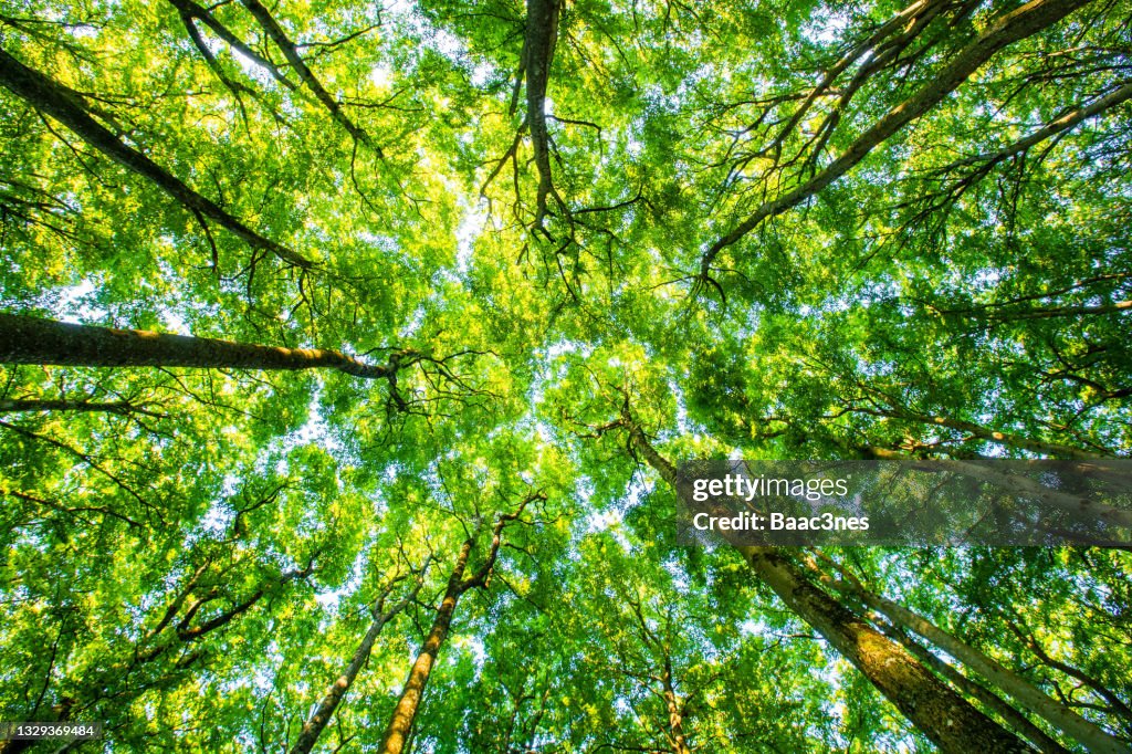 Abstract stock images